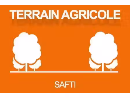 vente terrain 8925 m² à saint-plantaire (36190)  12 388 €