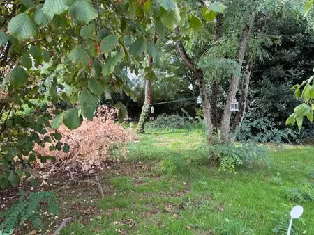 vente terrain 420 m² à rochefort (17300)  74 000 €