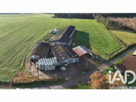 vente terrain 6850 m² à monsireigne (85110)  54 000 €