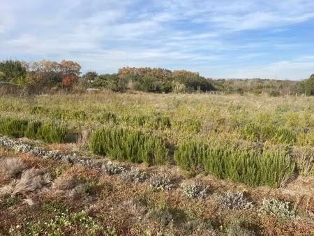 ortaffa proche d'argeles sur mer terrain 8300m² avec forage