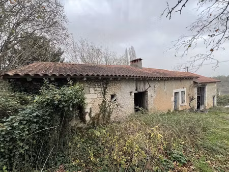 vente locaux professionnels 1 pièce 51 m² à saint-leon-sur-l'isle (24110)  71 500 €