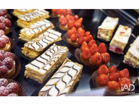 vente locaux professionnels 350 m² à trieux (54750)  165 000 €