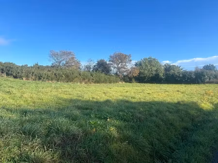 vente terrain à batir 985 m² à pleumeur-bodou (22560)  214 350 €