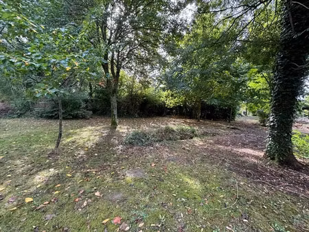 vente terrain 800 m² à audenge (33980)  265 000 €