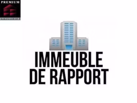 vente immeuble 1 pièce 255 m² à baho (66540)  400 000 €