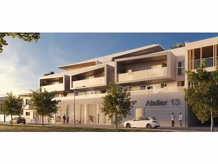 vente commerce castelnau le lez 238 m²