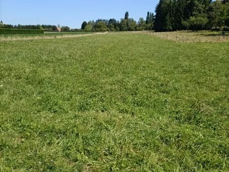 en vente terrain non constructible 3 826 m² – 69 000 € |holving