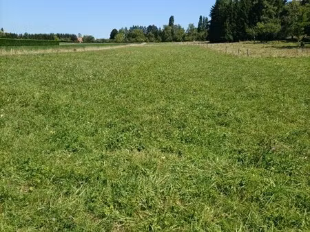 en vente terrain non constructible 3 826 m² – 81 000 € |holving