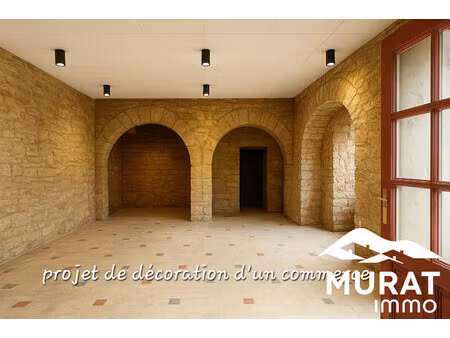 achat local commercial 140m² plauzat 63730