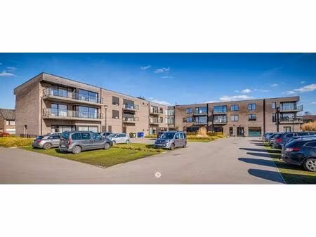 appartement te huur in rupelmonde met 1 slaapkamer