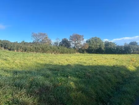 vente terrain 1023 m² pleumeur-bodou (22560)