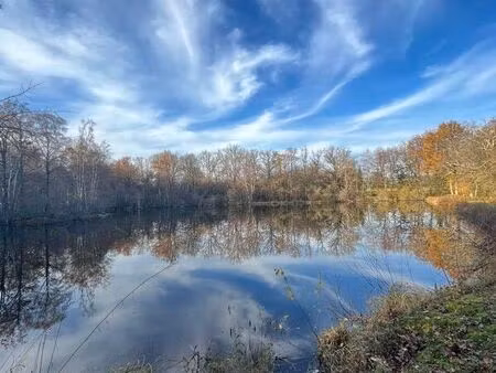 vente maison 5 pièces 97 m² peyrat-de-bellac (87300)