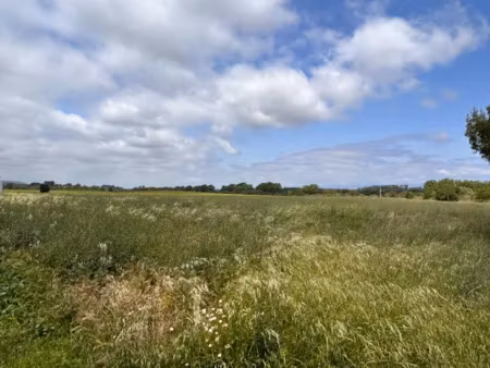 vente terrain 1305 m² à floure (11800)  72 000 €