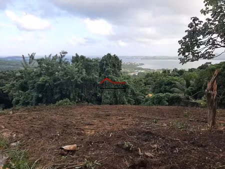 vente terrain 1636 m² à le robert (97231)  199 000 €