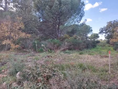 vente terrain 610 m² à puget-sur-argens (83480)  275 000 €