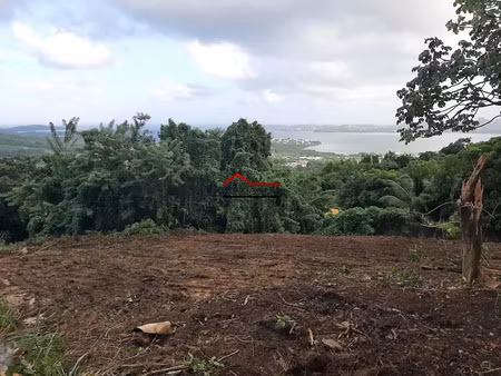 vente terrain à batir 1636 m² à le robert (97231)  199 000 €