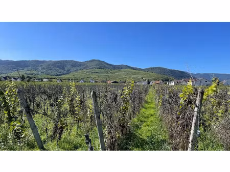 vente terrain 380 m² à wintzenheim (68920)  121 220 €