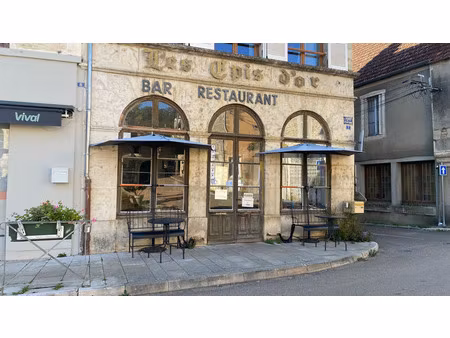 magnifique hôtel particulier - bar - restaurant à l'isle sur serein (89)
