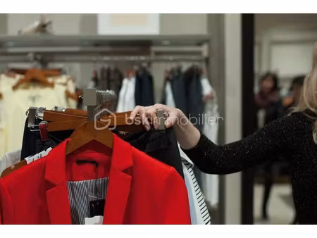 vente locaux professionnels à bourbonne-les-bains (52400)  302 500 €