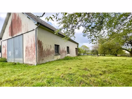 vente locaux professionnels 125 m² à chatillon-sur-colmont (53100)  63 000 €