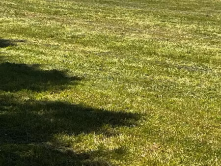 vente terrain 3400 m² à geay (17250)  127 900 €