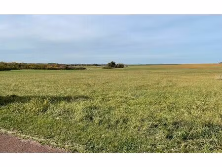 terrain dommary-baroncourt m² t- à vendre  48 000 €