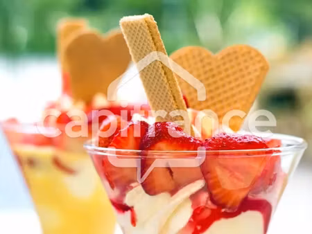 pyrénées orientales (66) - fonds de commerce bar-restaurant-tapas-pizzas-glacier - port d’