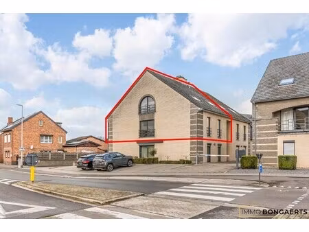 appartement te koop in lanaken met 4 slaapkamers