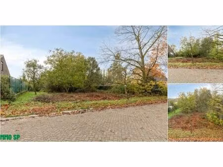 terrain à vendre à libelstraat 4 olen (rbu71523)