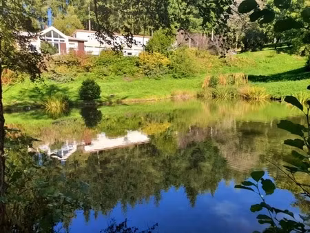 propriete vendre 20 pièces proche de remiremont (88) sur 2 4 ha avec etang  source