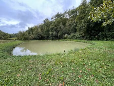 terrain agricole plat 9 hectares