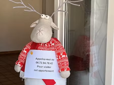 vente appartement 4 pièces 81.7 m² à wolfisheim (67202)  249 900 €