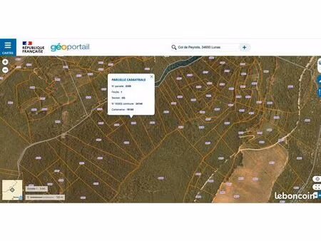 terrain non constructible/bois de chauffage