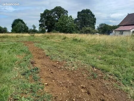 terrain 901 m² fère-en-tardenois