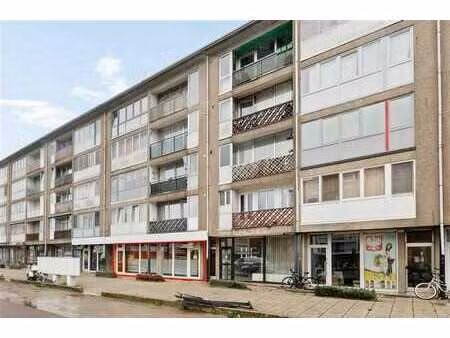 commerce - rez-de-chausée