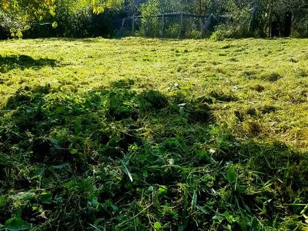 terrain à vendre de 1000m2 constructible dans charmant petit village avec toute commodité 