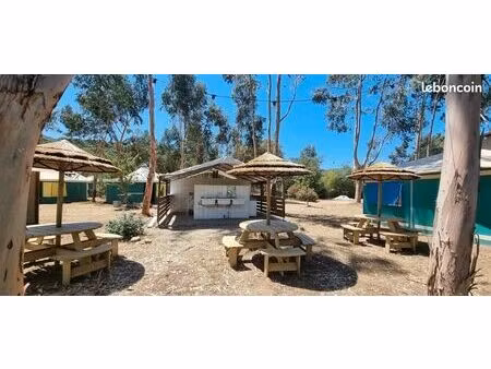 terrain 42 200 m² casalabriva