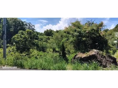 terrain 4 268 m² pointe noire