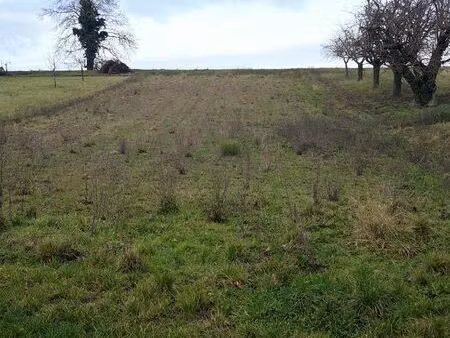 terrain à vendre