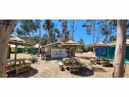 spitaletto alain capifrance