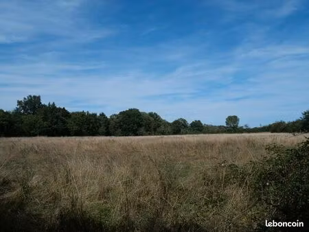 terrain 26060 m² cuffy