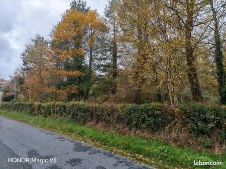 terrain 1 602 m² nancay