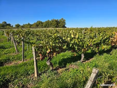 terrain 8490 m² châteaumeillant