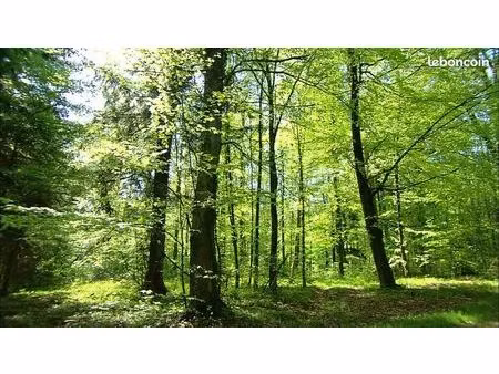 recherche parcelle forêt
