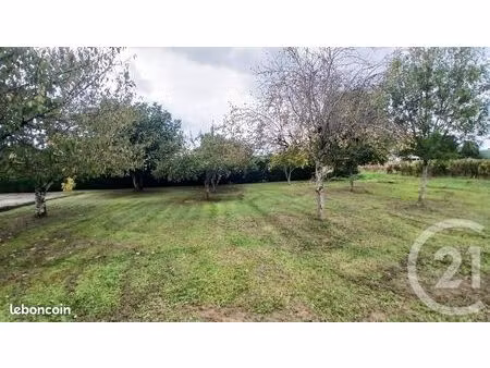 terrain 1 633 m² rauzan