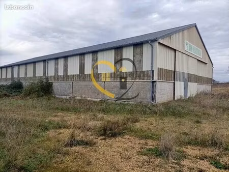 immeuble 685 m² berry-bouy