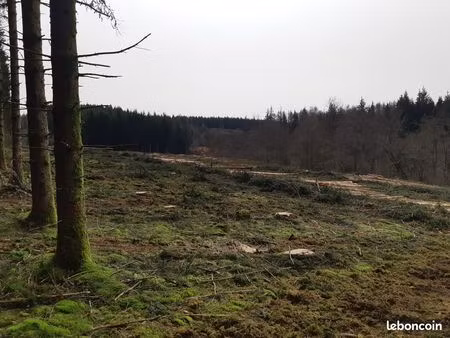 à vendre : parcelle forestière 9 39 ha – replantée 50% en résineux (tarnac  corrèze)