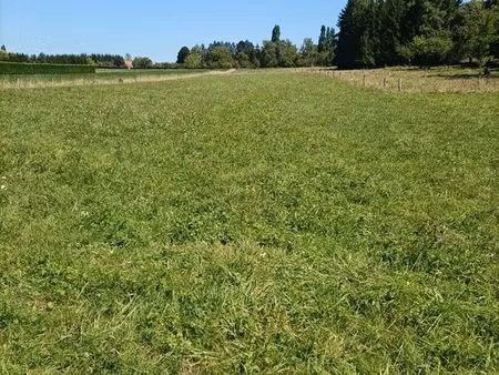 terrain 3826 m² holving