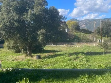 terrain 2700 m2 avec maison de 120 m2- plaine de cuttoli corticchiato