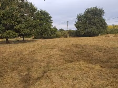 terrain constructible